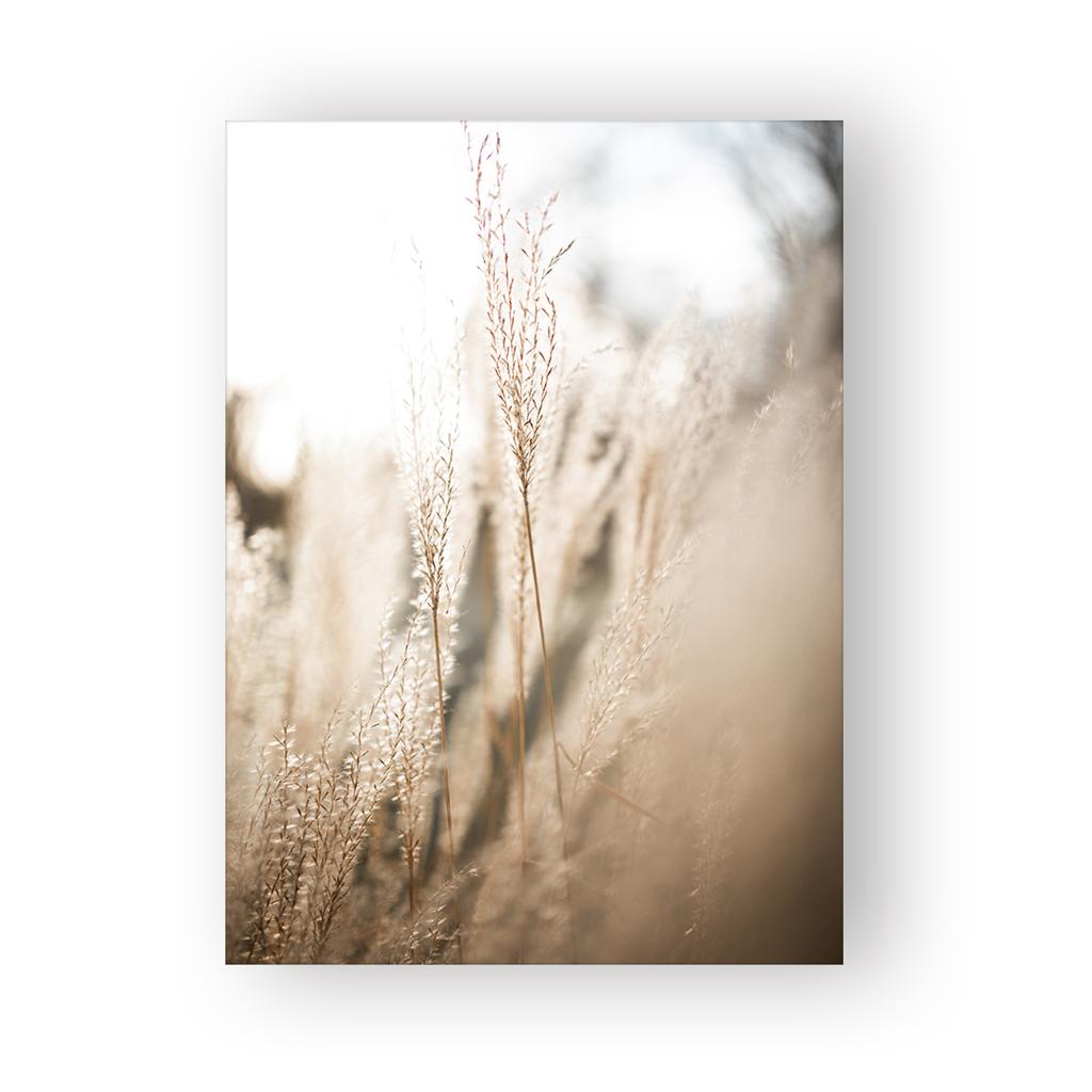 Poster Set „Marokko“